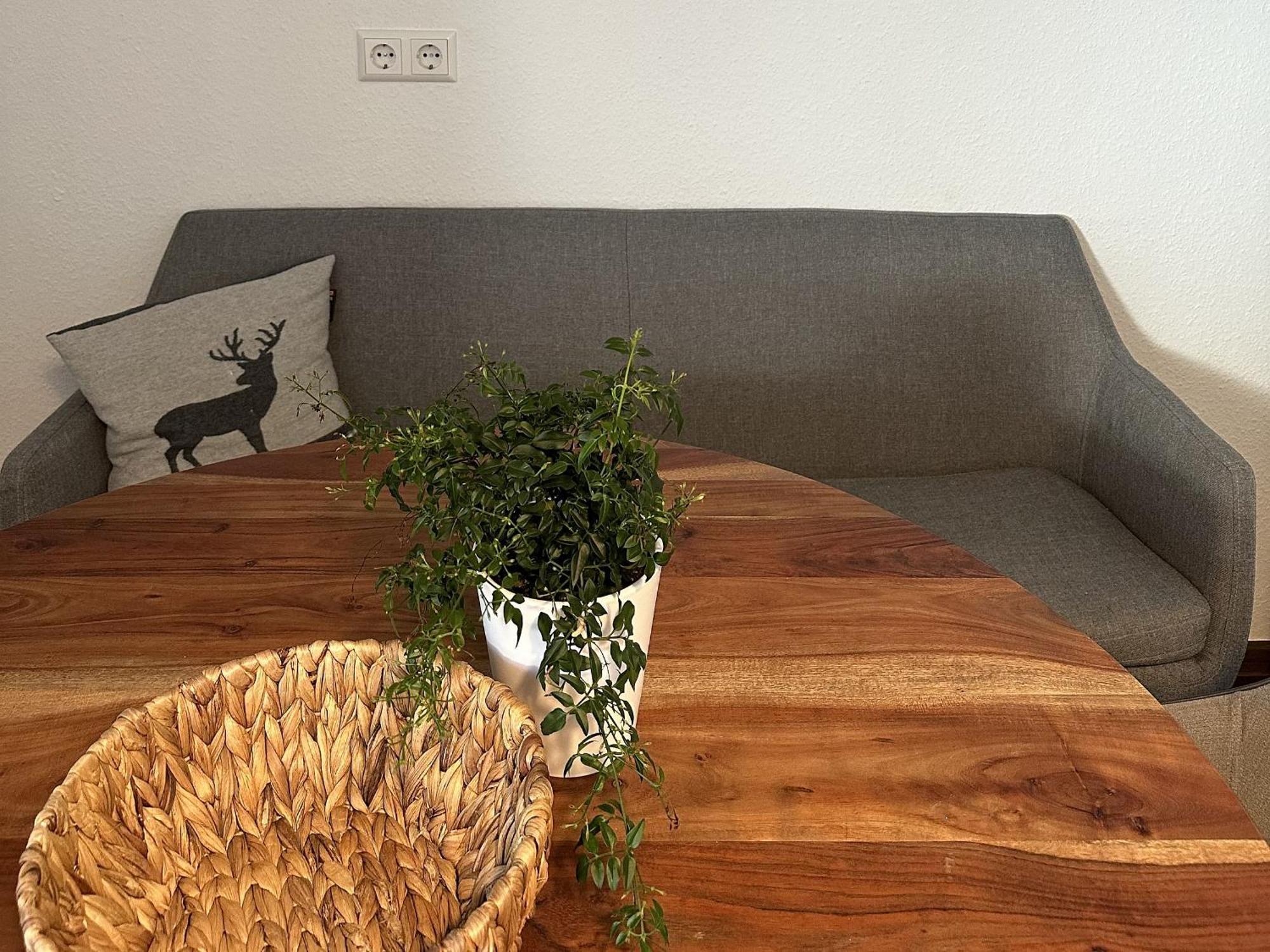 Haus Albi Apartment Waldkirch Bagian luar foto